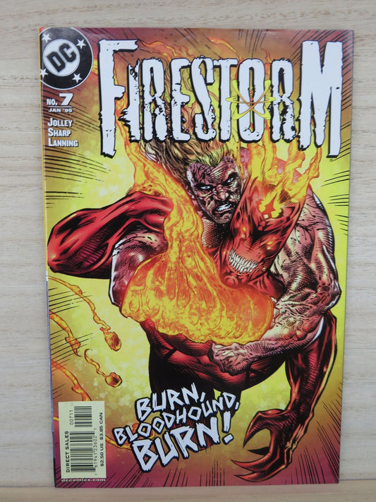 Firestorm #7 Jan 2005 Burn Bloodhound Burn! - DC Comic