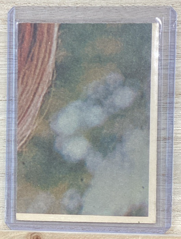 1967 The Monkeys Trading Card 26A1