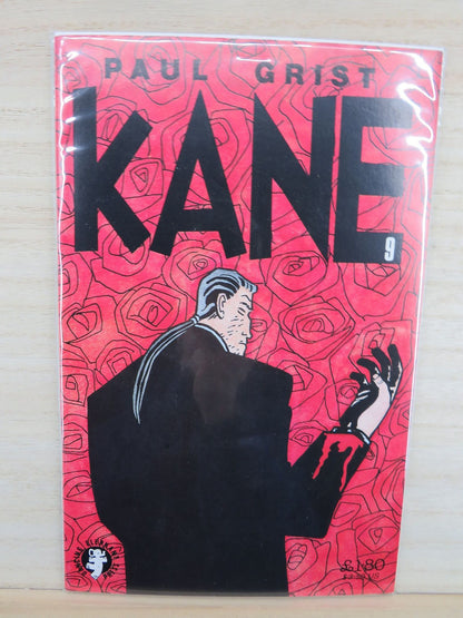 KANE #9 - Dancing Elephant Press Comic