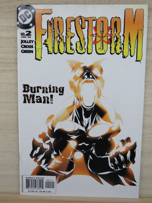 Firestorm #2 August 2004 Burning Man! - DC Comic
