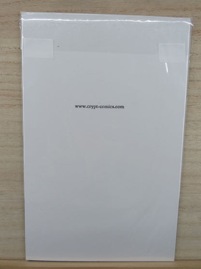 Vortex The Second Coming #1 of 6 - 1996 - Entity Comic