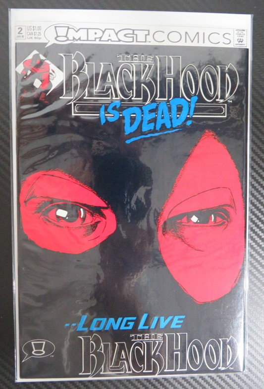 The Black Hood Is Dead #2 - Impact Comics