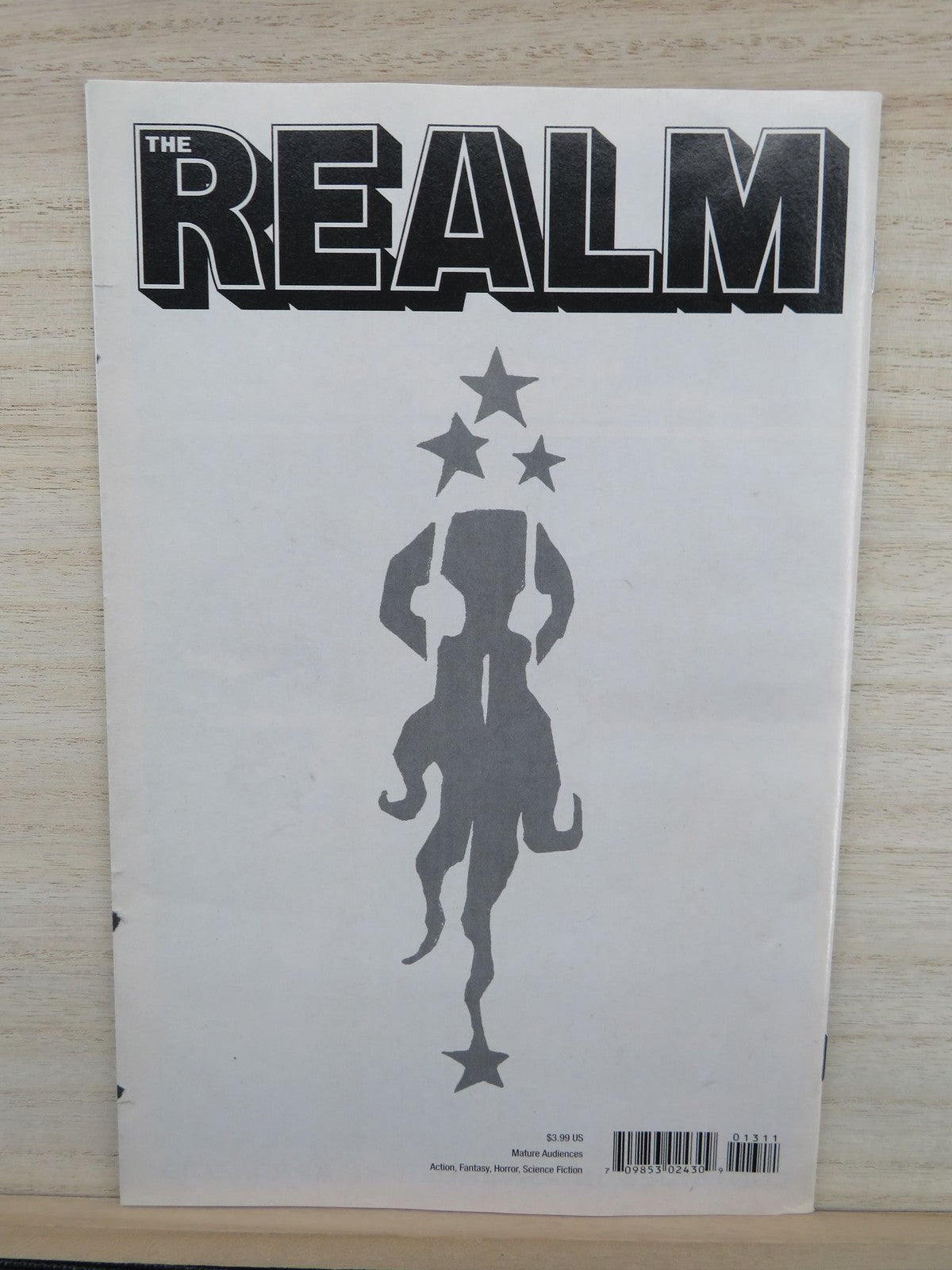 The Realm #13 - Image Comic - 2019