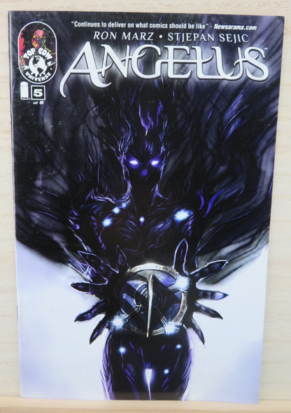 Angelus #5 of 6 - Top Cow Comic - 2010 - Cover A