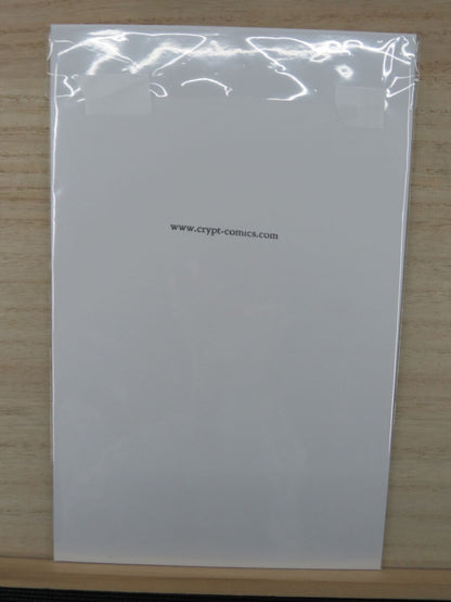 Young Justice #2 Cruises into Action - Oct 1998 - DC Comic