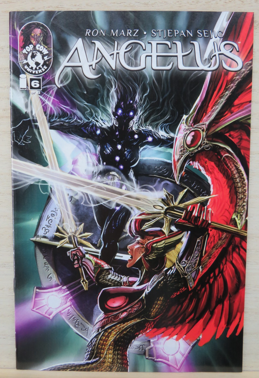 Angelus #6 of 6 - Top Cow Comic - 2010 - Cover A