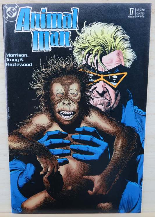 Animal Man #17 - November 1989 - DC Comic