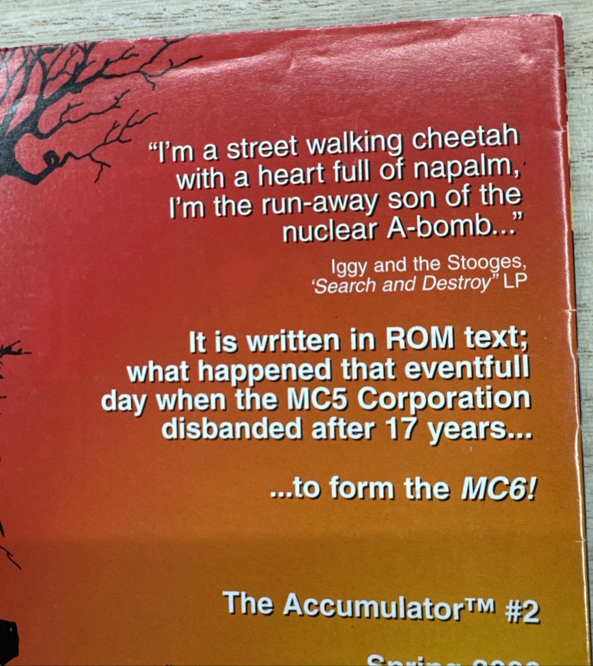 The Accumulator #1 - 2000 - Buffalo Nickel Comic