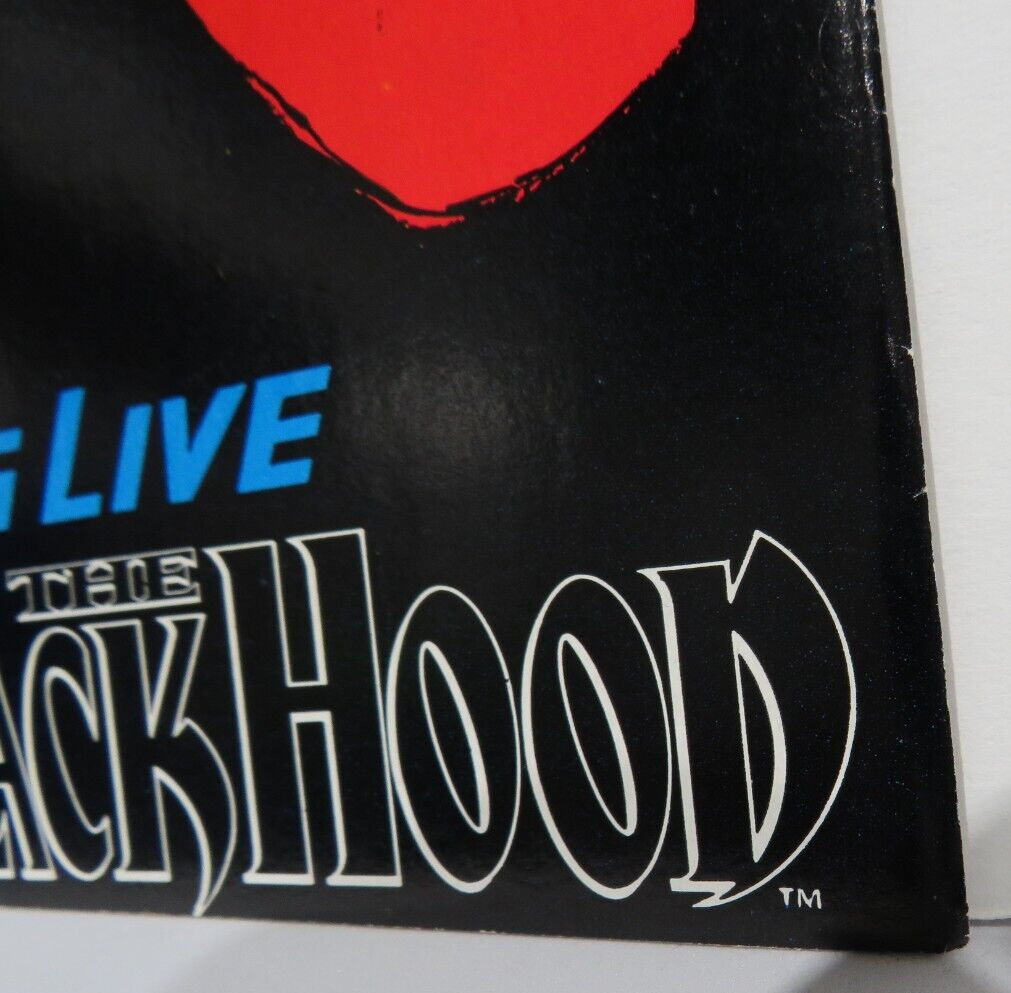 The Black Hood Is Dead #2 - Impact Comics
